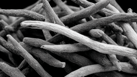Ashwagandha: The Stress Shield Your Body Has Been Missing
