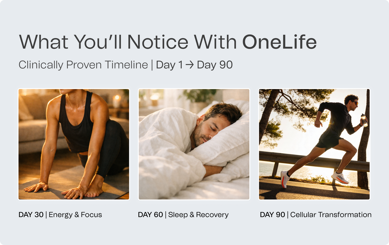 Run the 90-day protocol.