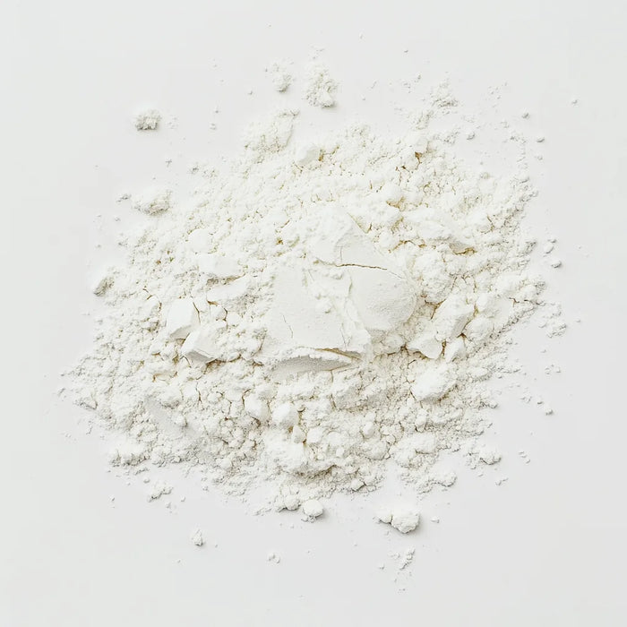 Lactobacillus Paracasei Probiotic 