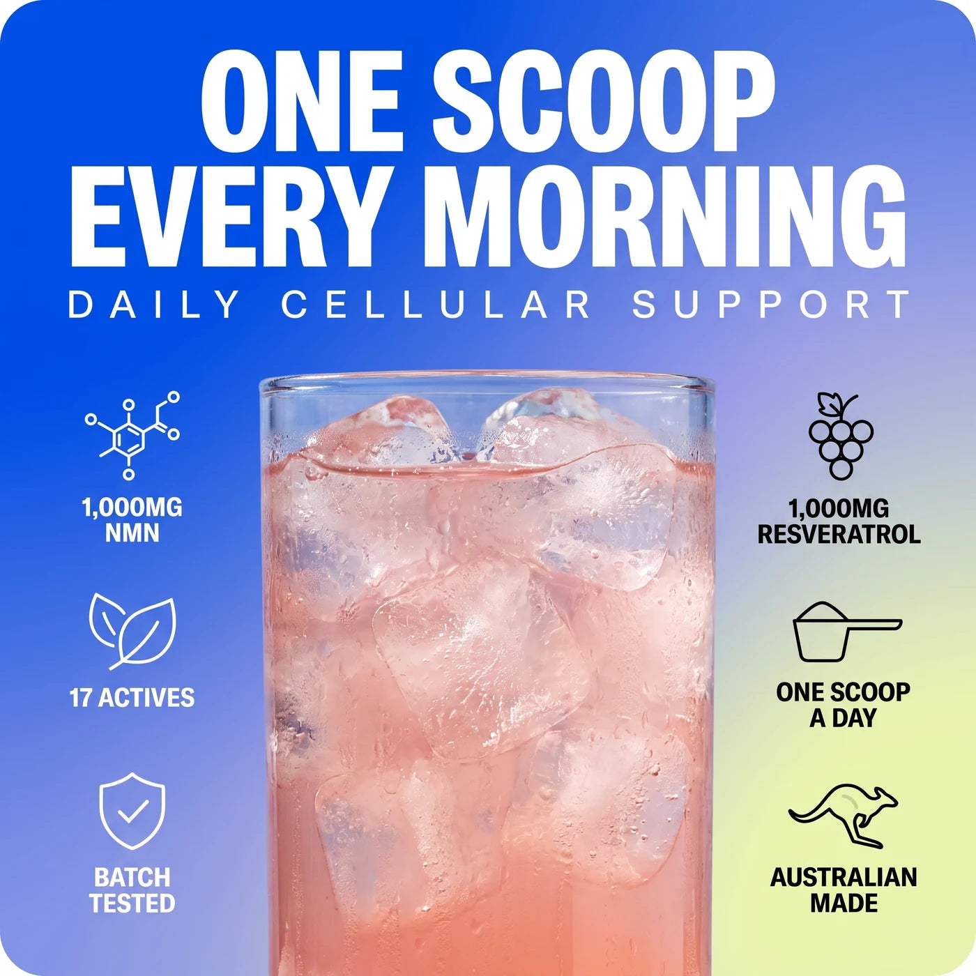 OneLife: one scoop every morning for daily cellular support. 1,000mg NMN, 1,000mg resveratrol, 17 actives, one scoop a day, batch tested, Australian made